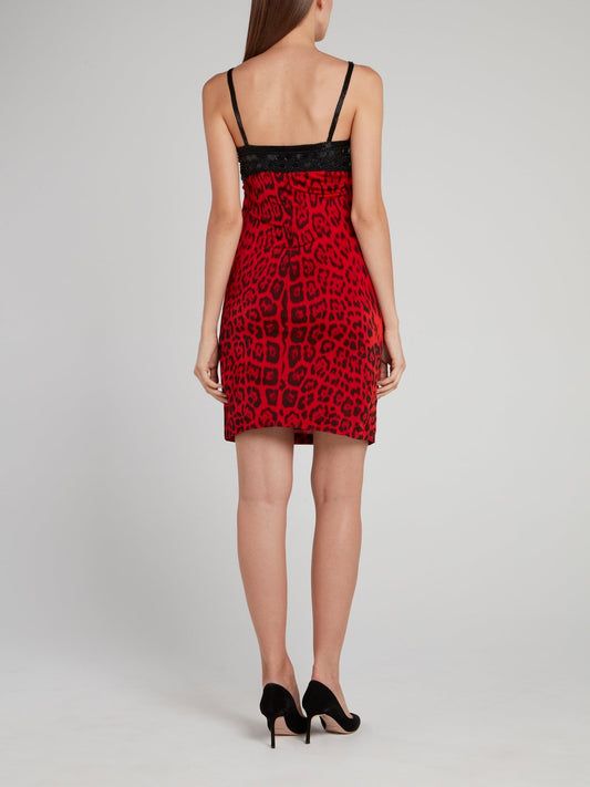 Beaded Bodice Leopard Print Mini Dress